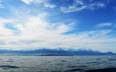 黑坑钓青鱼选择用什么饵料？