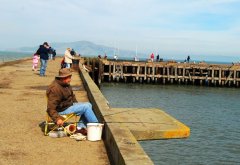 黑坑“偷驴”将要面对什么呢？