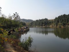 自制黑坑偷驴饵,效果杠杠滴！