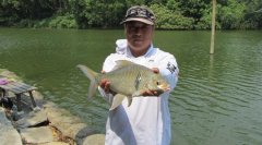 黑坑偷驴这样钓，“上岸”不再难！