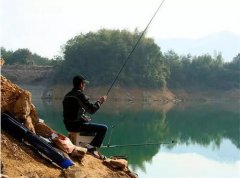 钓鱼大师传授黑坑偷驴实战技巧，空军离你而去