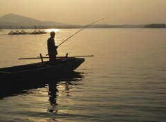黑坑抢鱼和偷驴，开饵上配小药无敌的存在