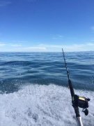 黑坑偷驴掌握这三点，马上脱离空军部队！