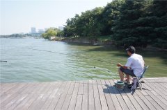 黑坑垂钓如何选钓位呢？