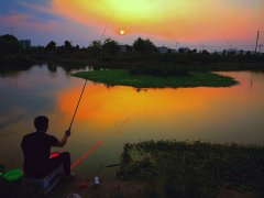 黑坑钓鱼的选位、打窝技巧掌握起来就是坑冠！