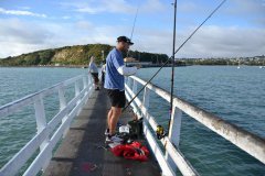 野钓、黑坑和竞技三种环境，如何用不一样饵料