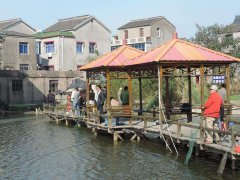 黑坑钓鱼，小药搭配很重要