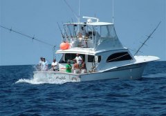 无小药不黑坑，黑坑小药之揭秘香精