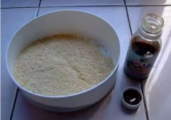 钓黑坑用小药的时机把握很重要