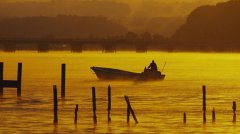 黑坑钓鱼高手常用小药配方