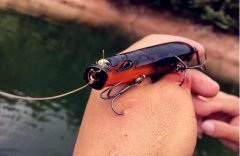 黑坑小药详解，什么时候用小药怎么用？