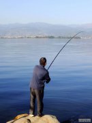 黑坑蚯蚓饵和红虫饵