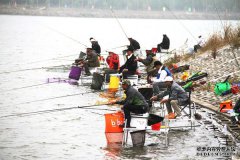钓黑坑鲫鱼效果最好的饵料和小药配