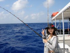 黑坑小药的功效及使用方法简介