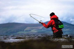 40种钓鱼小药配方大揭秘，黑坑经典配