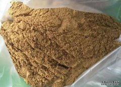 黑坑小黄面是什么？小黄面配方