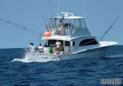 玩黑坑鱼情变化大,要学会灵活变通