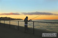 黑坑钓鱼要压水线么？为什么