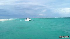 玩黑坑为啥总跑鱼？原因在这呢