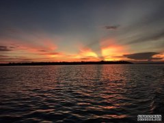 为什么黑坑一定要用硬竿？“频率”和“速度”