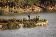 秋季钓黑坑鲤鱼的技巧攻略
