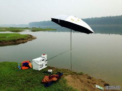 如何应对黑坑有口不上鱼呢？