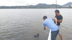 选黑坑野钓犹如选老婆小三？这有这样的说法么