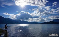 黑坑散炮钓鲤绝对给力