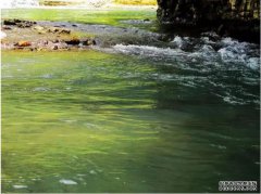 钓鱼十大魅力都有哪些呢？