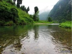 黑坑钓鱼的三个注意事项