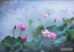 黑坑钓青鱼的技巧以及运用