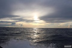 解密黑坑钓鱼小药