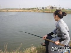 通杀黑坑野钓关键是技巧和黑坑饵料