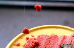 新手速成，这样玩黑坑用饵