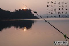 黑坑上岸终极秘籍之以不变应万变