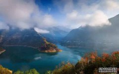 黑坑钓鱼新手必看!标准入门基本动