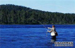 黑坑钓鱼该如何钓得好？