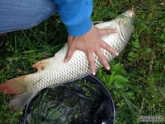 新手玩黑坑，这些技术拿走不谢