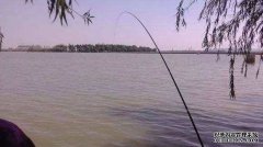 新手玩黑坑钓鲫鱼要注意哪些地方？