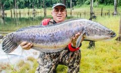 黑坑鲤鱼钓位很重要