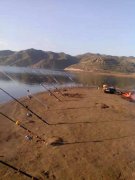 黑坑钓鲤鱼调漂