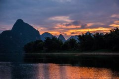 秋天黑坑钓鲤鱼