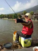 老g黑坑鲤实战技巧