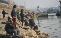 黑坑钓鱼技巧大全