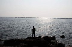 黑坑散炮钓鱼怎么钓？