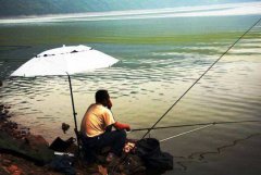 天元黑坑饵料配方