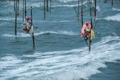 老鬼钓黑坑饵料配方
