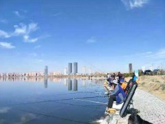 化绍新黑坑饵料配方