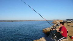 鲤鱼饵料黑坑秘制配方