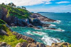黑坑鲫鱼饵料搭配